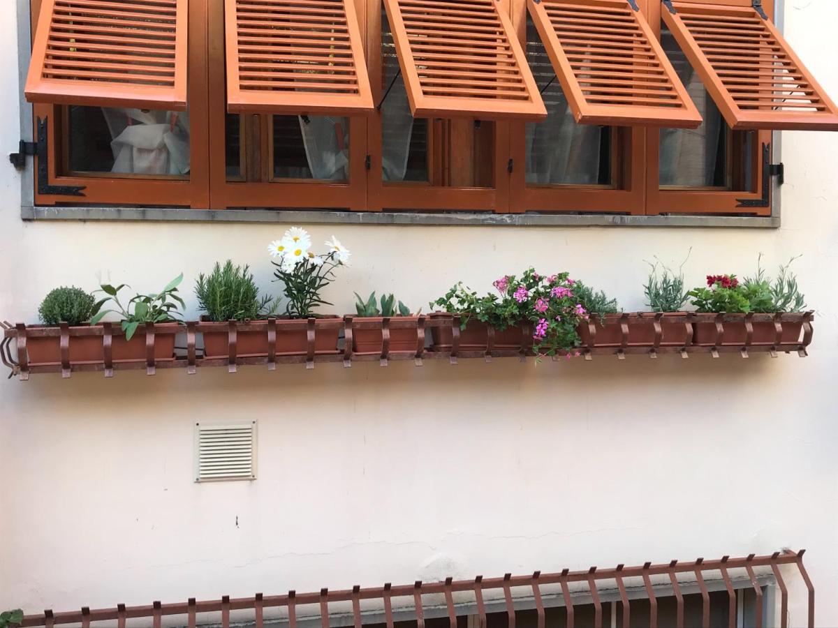 Ferienwohnung La Casa Fra Gli Ulivi Lerici Exterior foto