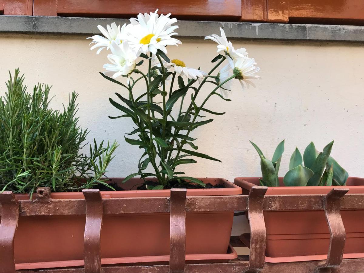 Ferienwohnung La Casa Fra Gli Ulivi Lerici Exterior foto